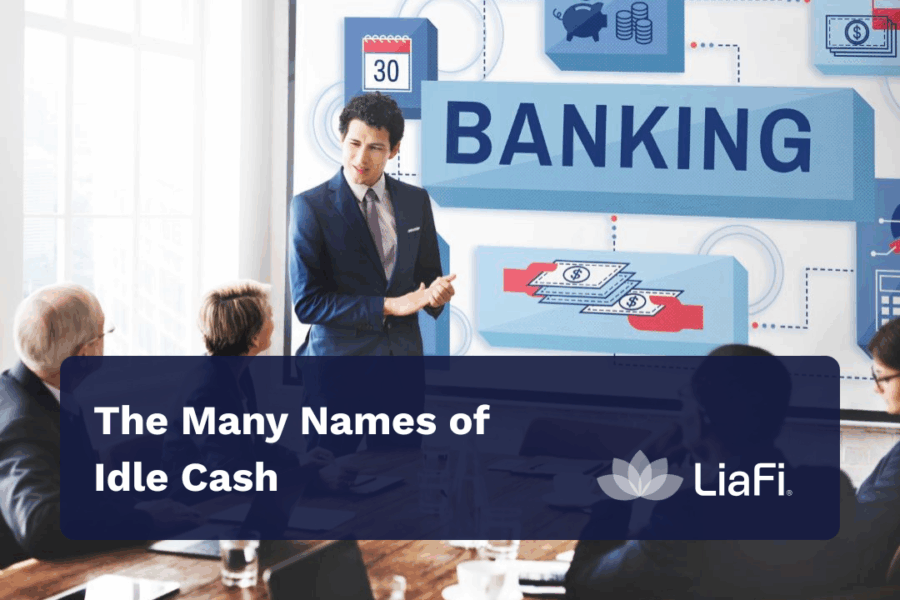 what is idle cash in business example showing non earning business cash in different categories