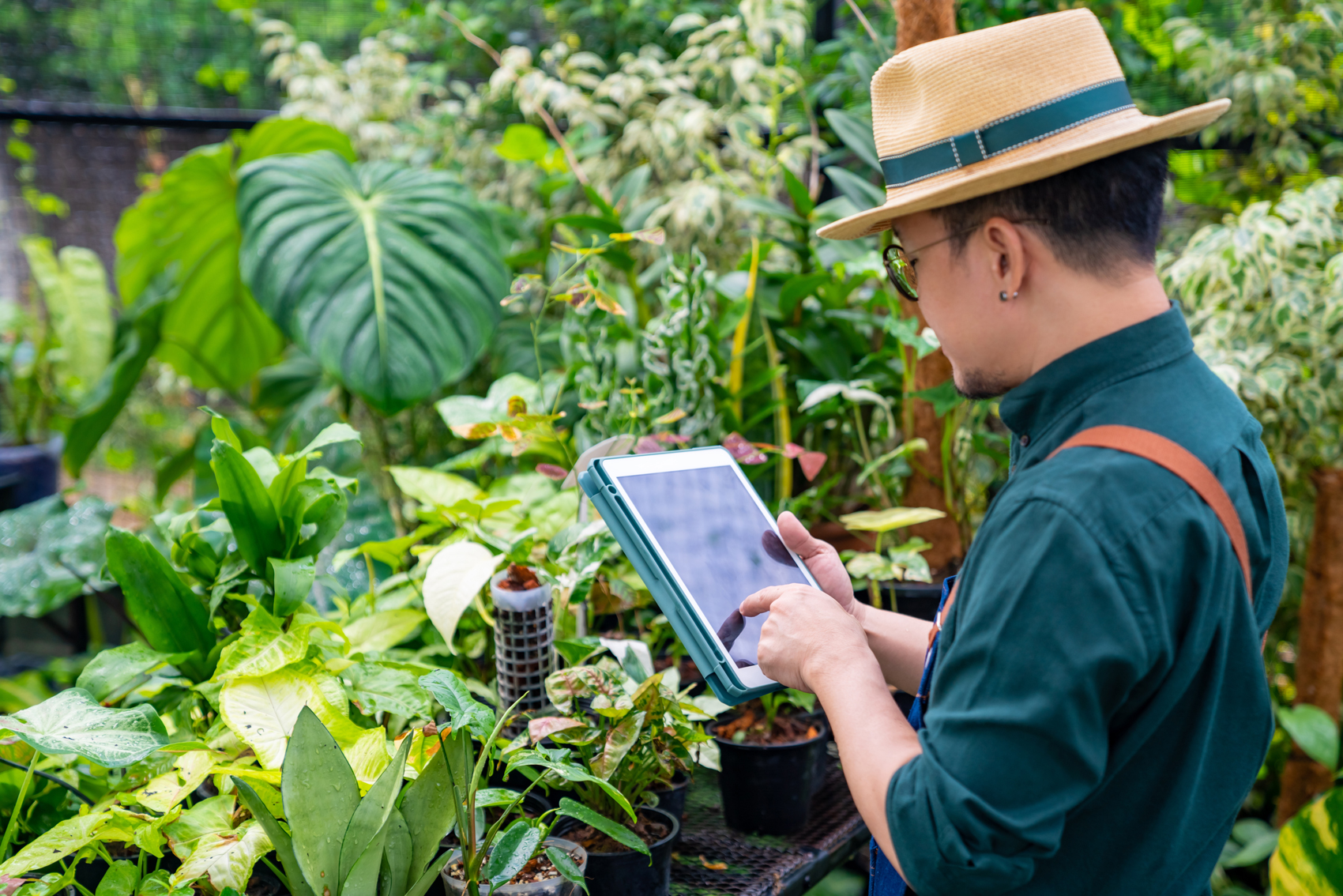 man looking at computer in garden