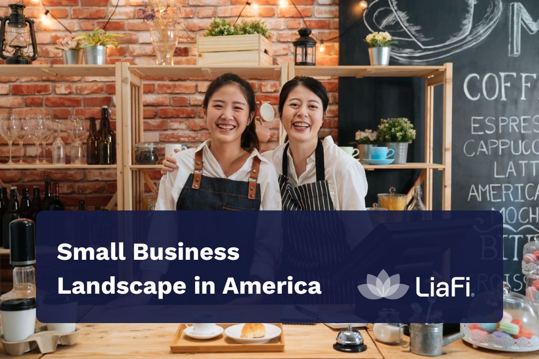 Small Business Landscape in America: Who Can Give Them a Financial Boost? LiaFi Can!