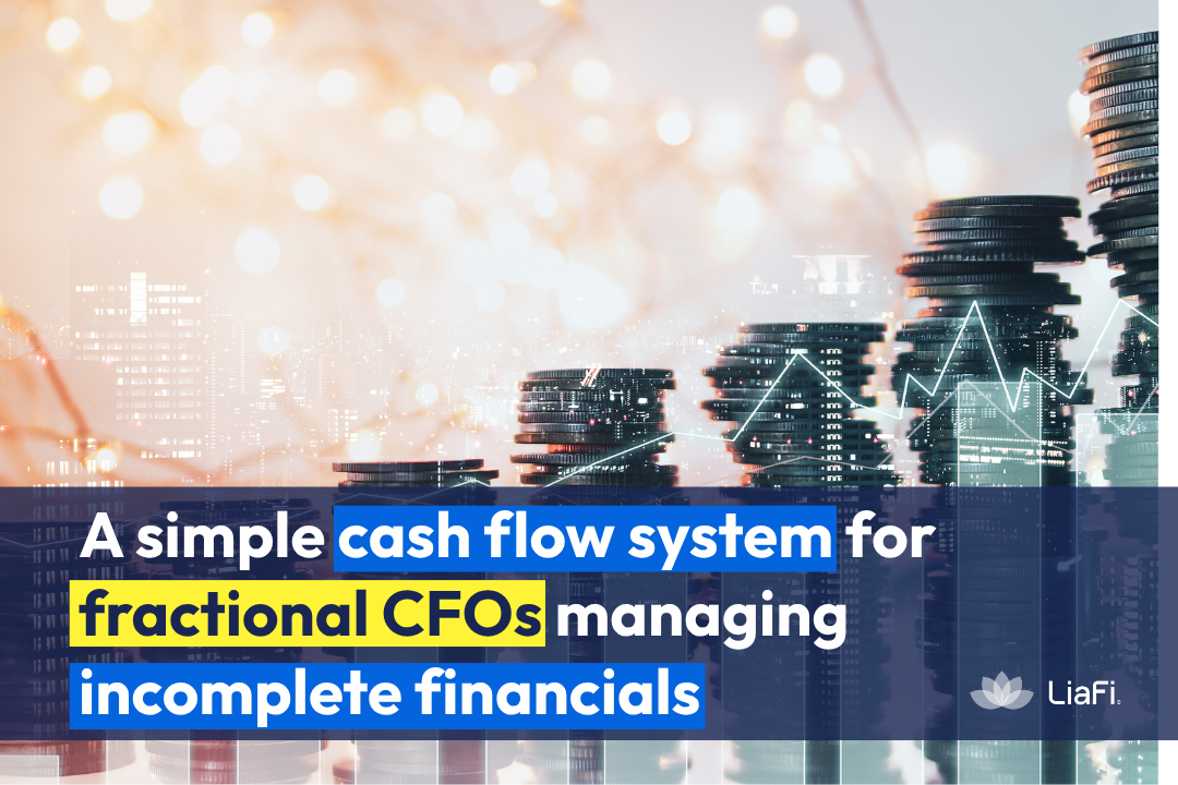 cash flow system for small business showing financial visibility and cash flow planning for fractional CFOs